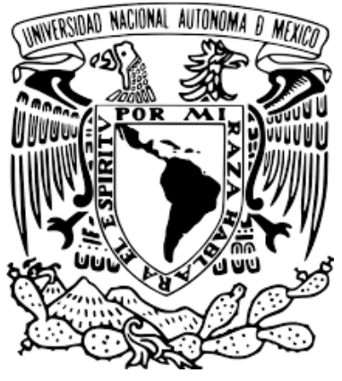 Universidad Nacional Autónoma de México (UNAM)